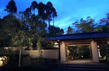 Maiko Night Performance with Kaiseki-style Kyoto cuisine Dinner