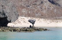 Balandra Beach Tour from La Paz: Balandra & Tecolote with Lunch