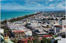 3 hours City and Wine Tour in New Zealand