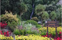 3 hours City and Wine Tour in New Zealand