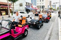 Private Mini Jeep Tour in Okinawa