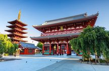 Tokyo Private Tour with English Speaking Driver