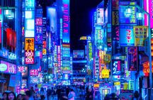 Tokyo Private Tour with English Speaking Driver