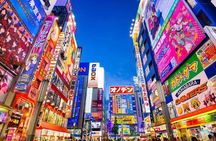 Tokyo Private Tour with English Speaking Driver