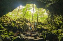 Private Hiking tour to enjoy the spectacular nature of Mt.Fuji