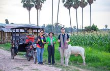 Authentic Siem Reap: Tuk Tuk Countryside and Sunset Tour