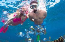 Coastline Snorkeling Cruise from Hersonissos Port