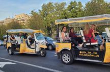Panoramic tour with private guide in yellow tuk tuk