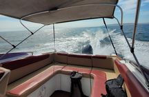 Private Tour to the Ballestas Islands