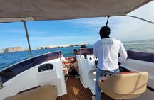 Private Tour to the Ballestas Islands