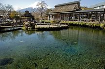 Mt FUJI Day Tour with Private Car and English Speaking Guide