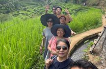 Ubud Monkey Forest Rice Terrace Tirta Empul Private Guided Tour