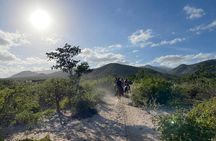 Private Horse Back Riding in El Sargento La Ventana