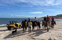 Private Horse Back Riding in El Sargento La Ventana
