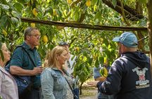 Sorrento Ape Tour, Lemon Garden, Mozzarella Show & Pizza Class