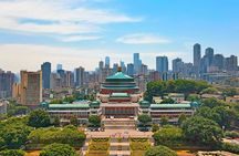 Chongqing Half day Private Tour Plus Night View