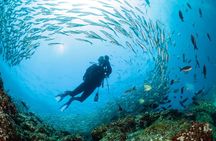 8 Day Full Pack Galapagos Multi-Sport Adventure (4-5 Island Tour)