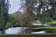 Meditative Journey through Hilo Gardens