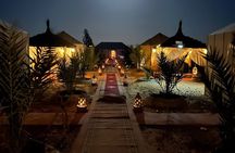  Overnight Sahara Tours luxury camp 