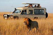 2-Day Safari from Zanzibar to Serengeti & Ngorongoro