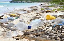 Beach Guardians Clean up & Picnic plus Otoch Mayan Experience