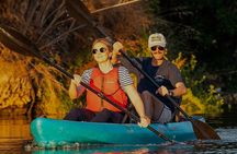 Water To Vine! Kayak Tour Explores Luxury of Nature @ Napa Valley