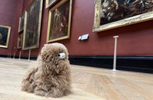 Louvre: All the stars of museum - Private guided 3h tour & entry
