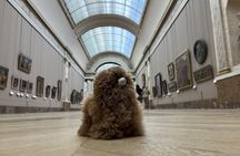 Louvre: All the stars of museum - Private guided 3h tour & entry