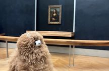 Louvre: All the stars of museum - Private guided 3h tour & entry