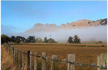 Hawkes Bay Scenic Tour
