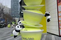 Private Layover Tour in Chengdu