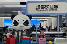 Private Layover Tour in Chengdu