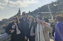 2-Day Busan Private Tour & Medical Tourism Package
