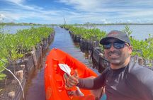 3 day private tour, crystal clear sea and islands near Cartagena