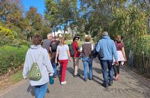 Discover Adelaide City Walk and Popeye River Cruise