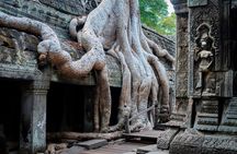 Full day exclusive tour for the main temples in Siem Reap