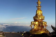 Panda, Leshan, and Emei Mountain 2-day tour