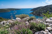 4-hour private boat tour: Discover the beauties of Istria