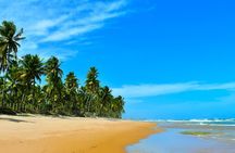 Coconut Coast Surf Adventure Vacation : Seven Days with a Pro