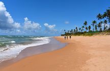 Coconut Coast Surf Adventure Vacation : Seven Days with a Pro