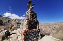 Shared Candy Mountain Tour from Guba 