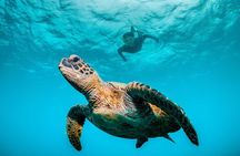 Huatulco Ocean & Reef Eco Adventures