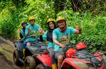 Coffee Plantation All Inclusive Ubud ATV, Rice Terrace with Lunch
