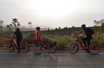 Soulouksina cultural e-bike experience in Pediada Province-Crete