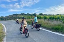 Soulouksina cultural e-bike experience in Pediada Province-Crete