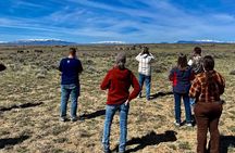 Private 4 Hour Red Canyon Wild Mustang Air Conditioned Van Tours 