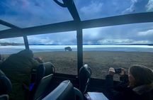 Yellowstone Open Air GLASS TOP/CONVERTIBLE Tour PU@Canyon Village