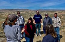 Red Canyon Wild Mustang Tour
