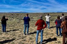 Kicking Red Canyon Wild Mustang Bus Tour Deals 8am Daily 