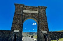 Yellowstone Wildlife and Photo Upper Loop Tour West Yellowstone 
